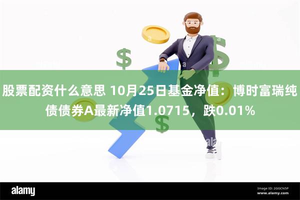 股票配资什么意思 10月25日基金净值：博时富瑞纯债债券A最新净值1.0715，跌0.01%