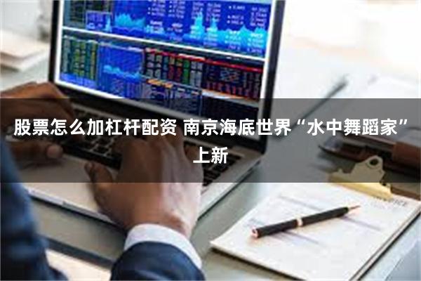 股票怎么加杠杆配资 南京海底世界“水中舞蹈家”上新